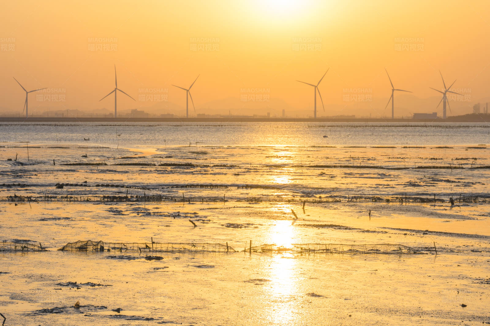 夕阳下的风车与湿地图片