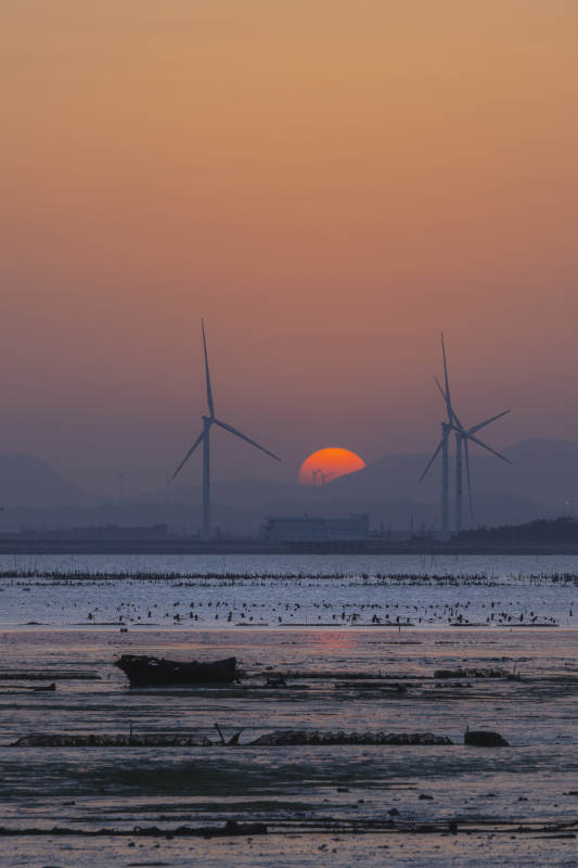 夕阳下的风车与海图片