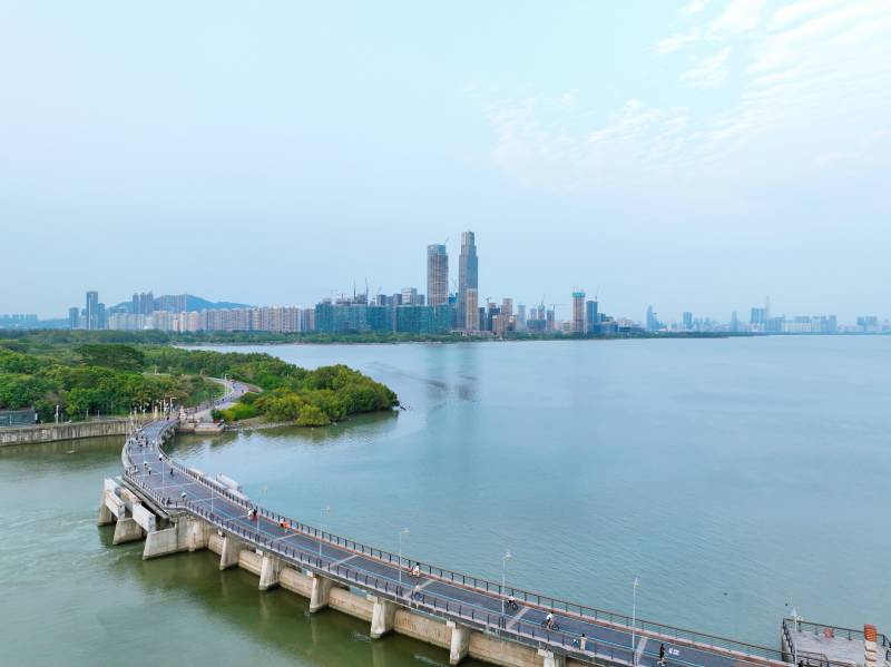 城市湖景大桥图片