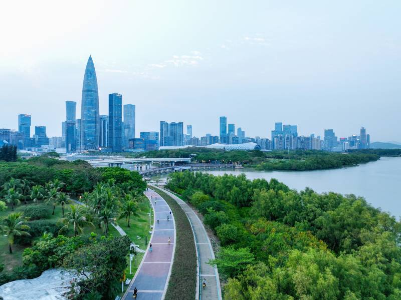 深圳湾公园与天际线图片
