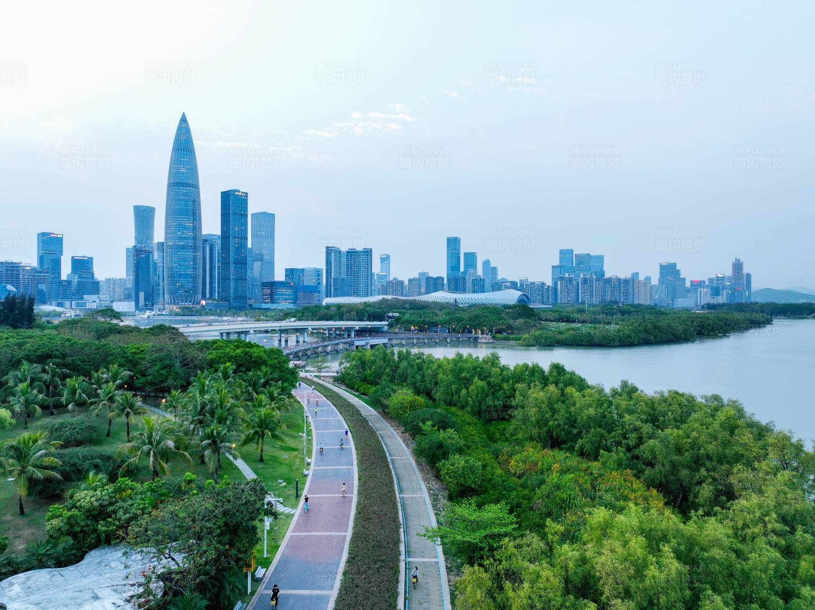 深圳湾公园与天际线图片