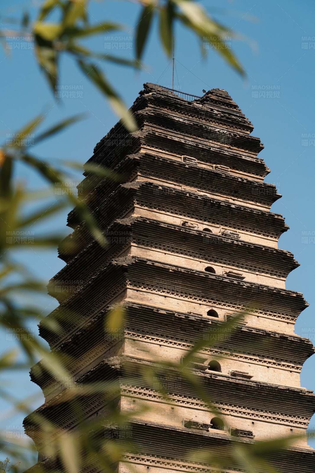 西安小雁塔图片