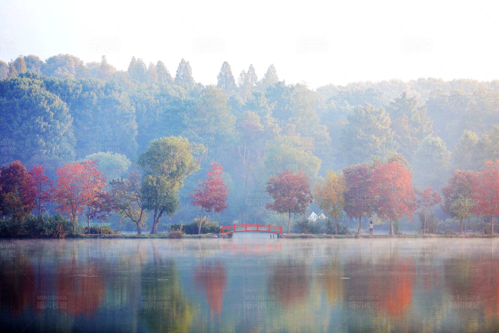 南京紫金山秋日晨雾湖光山色图片