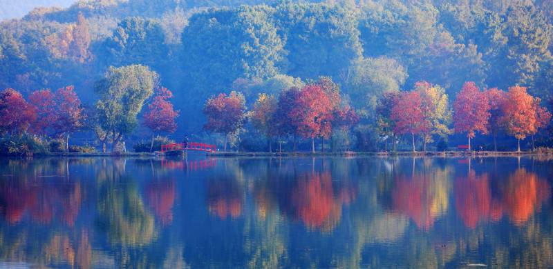 南京紫金山的秋色湖光图片