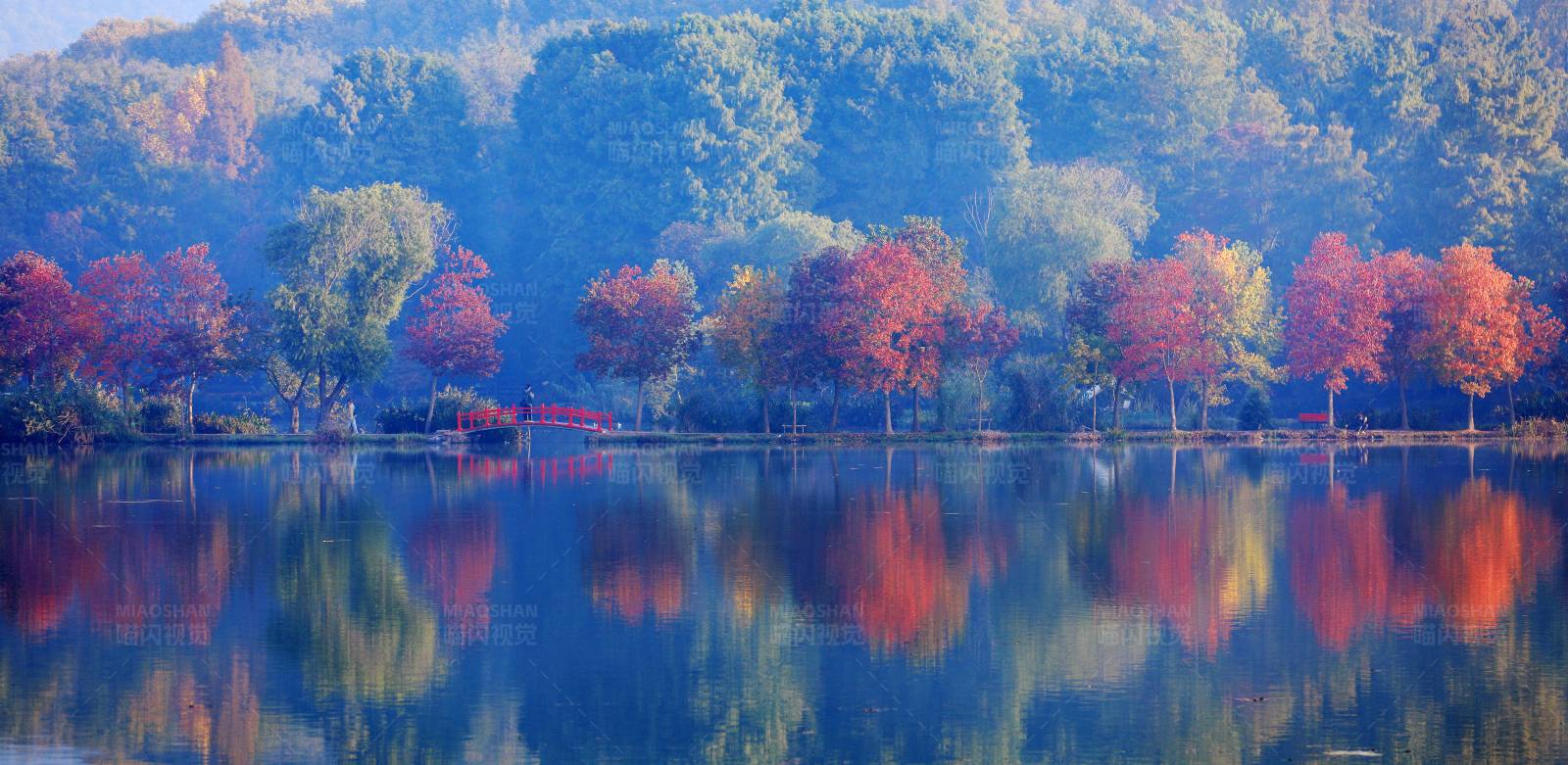 南京紫金山的秋色湖光图片