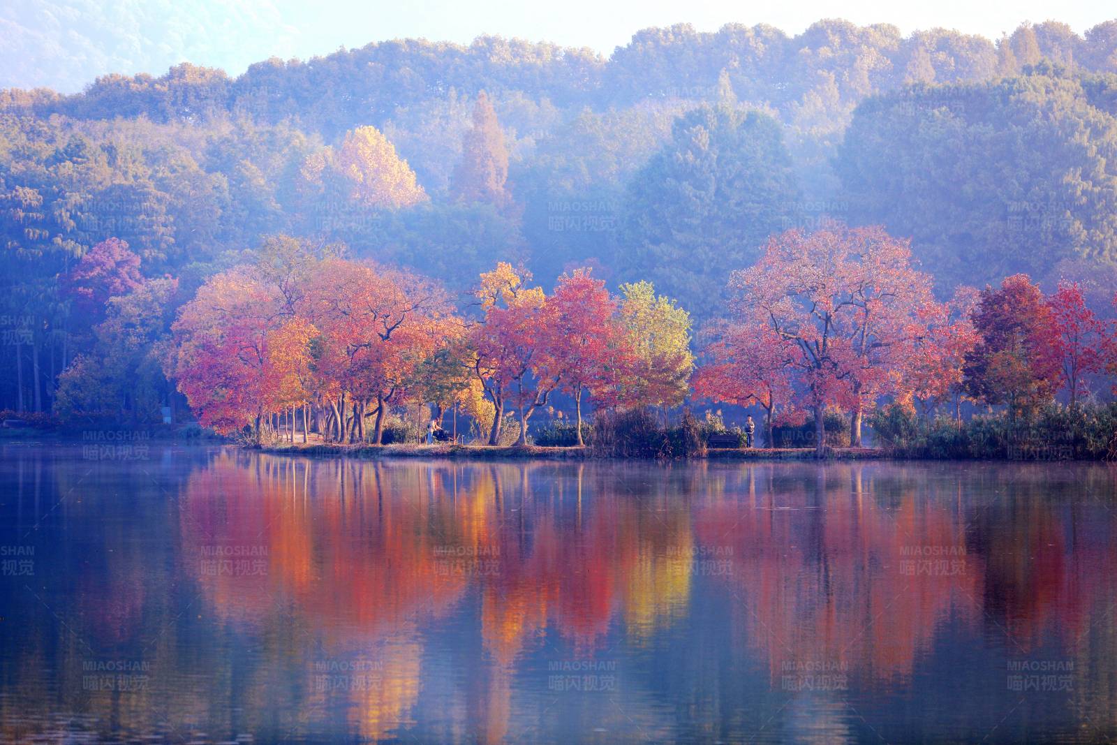 南京前湖秋色图片