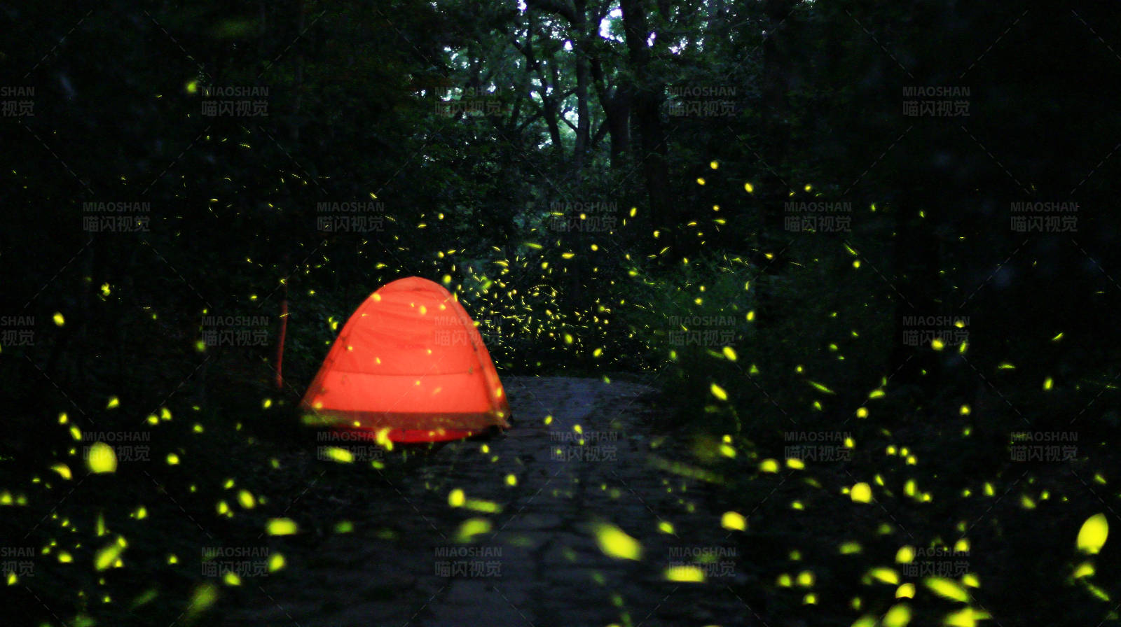 萤火虫围绕的帐篷图片