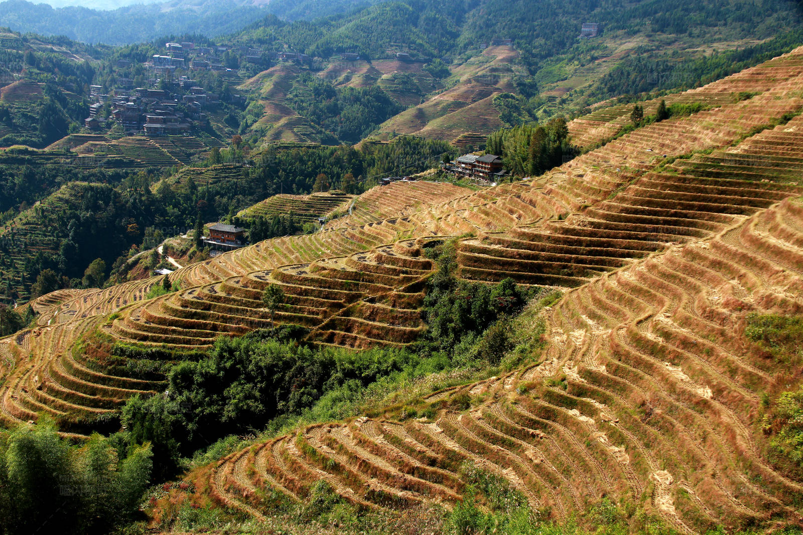 广西龙脊梯田美景图片