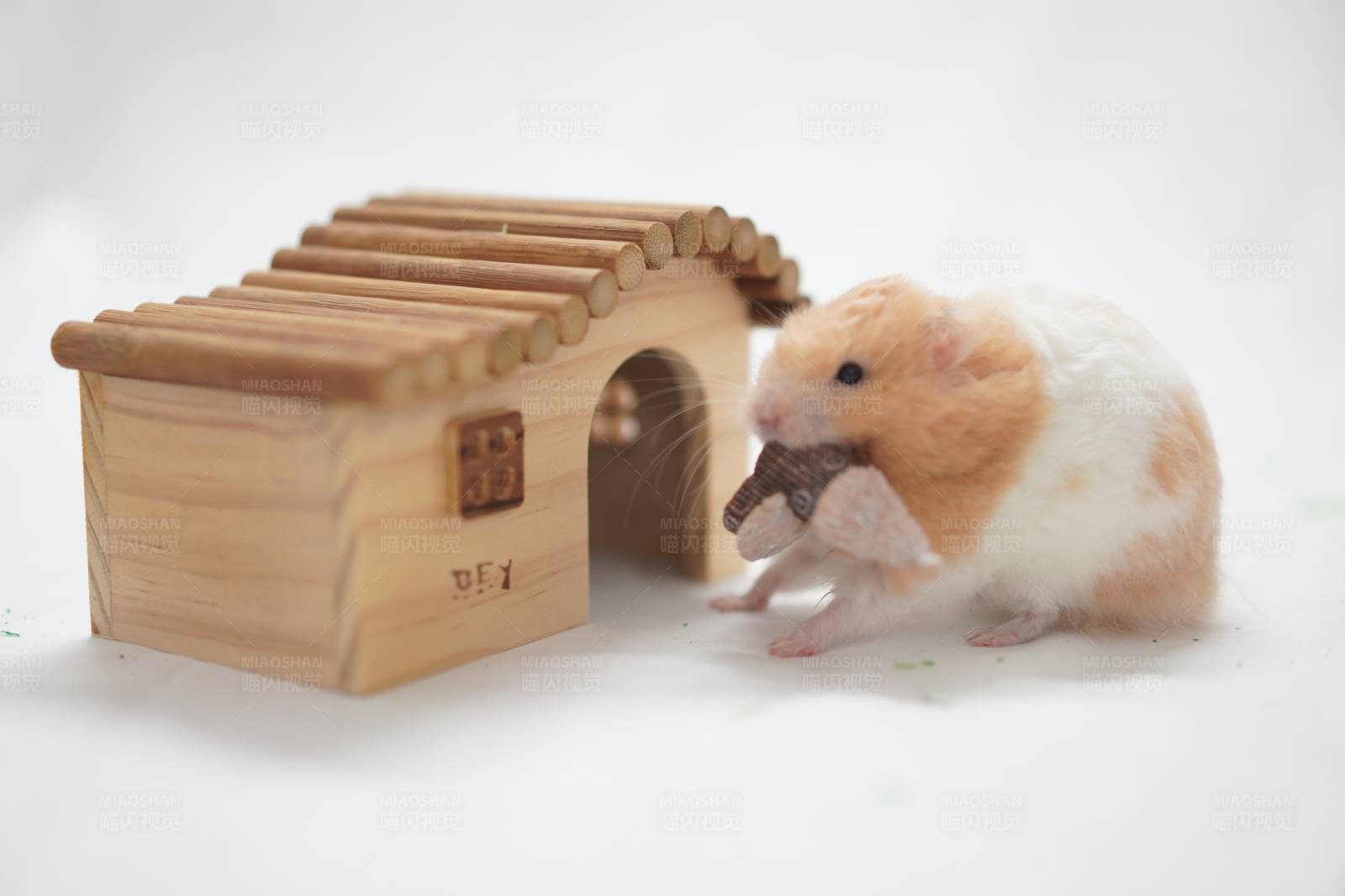 仓鼠与小木屋图片