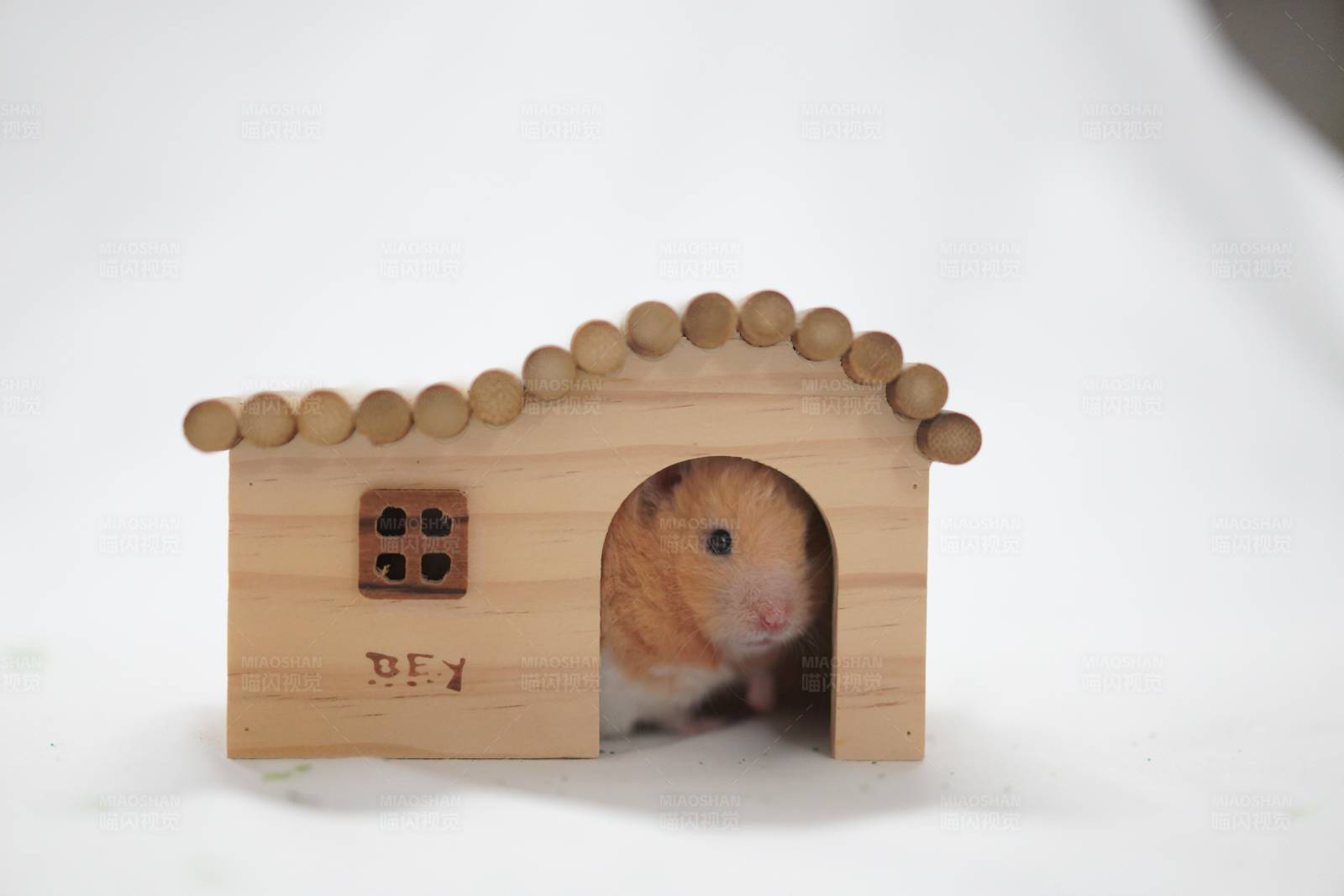 小鼠木屋藏头露尾图片