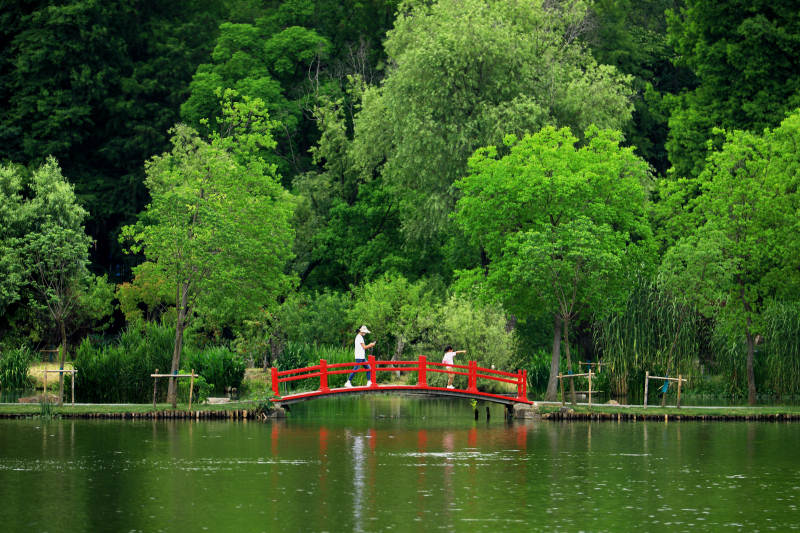 南京植物园月牙堤的红桥绿树图片