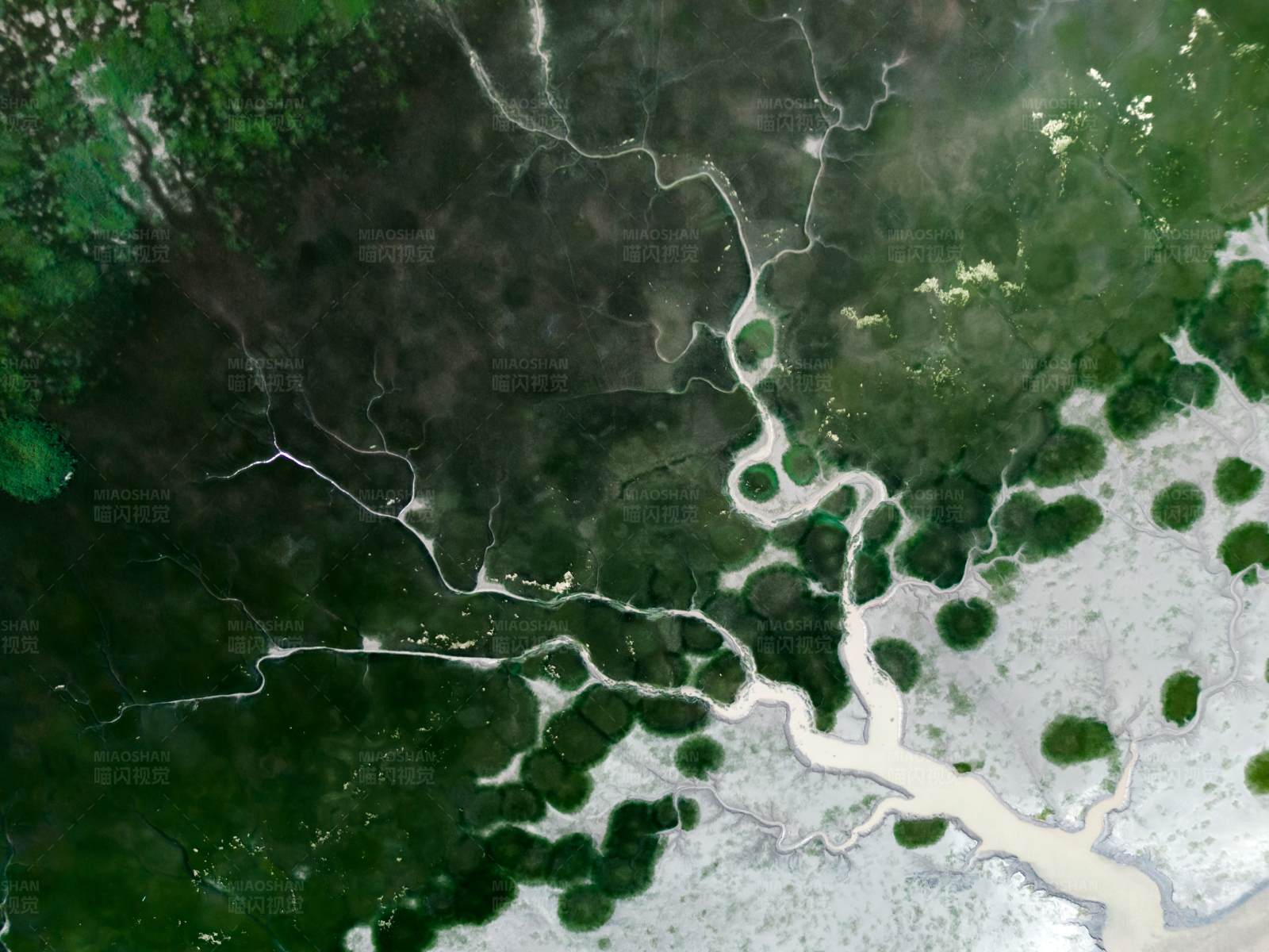 亚马逊河卫星图图片