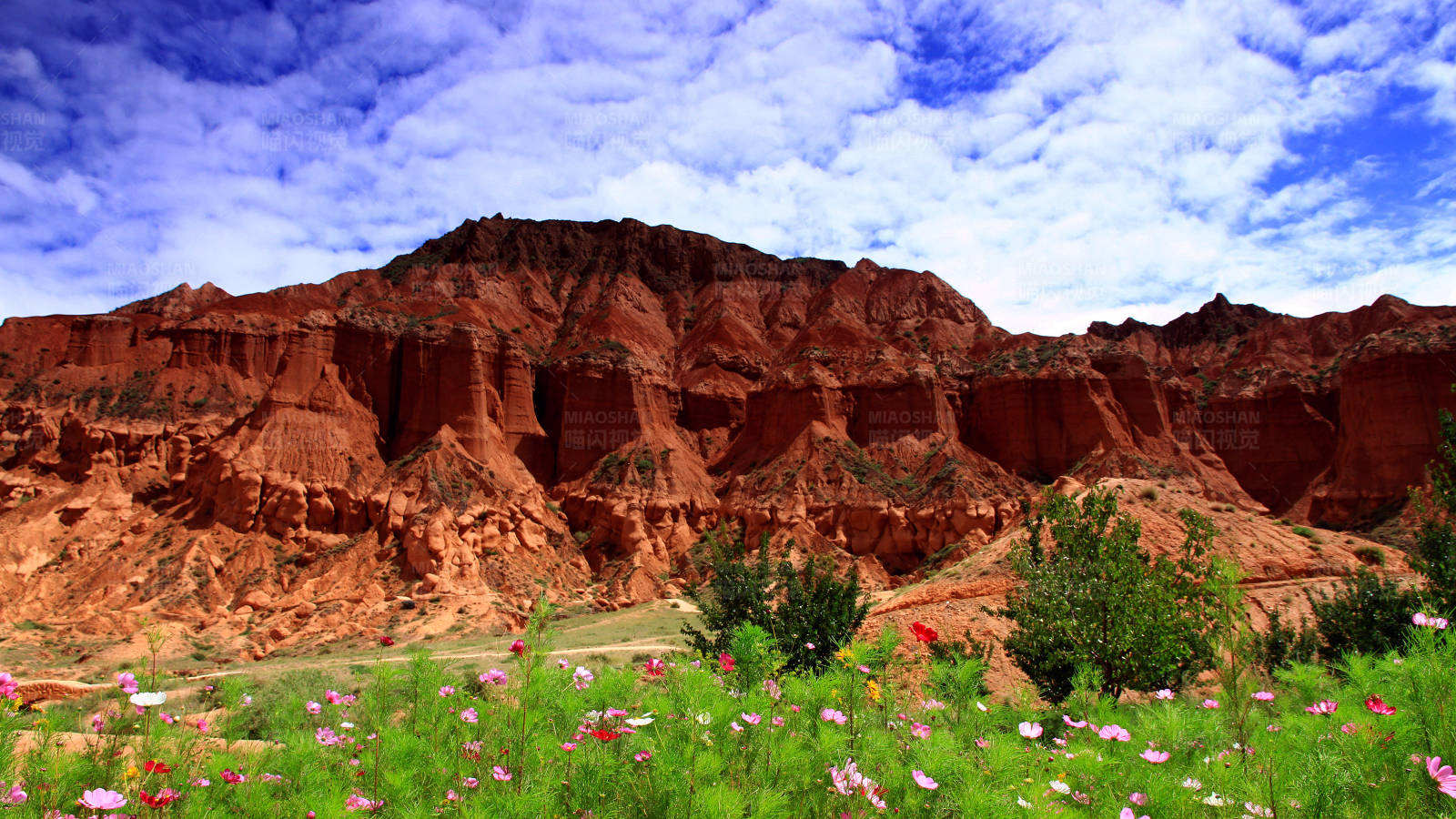 青海阿什贡花海丹霞山图片