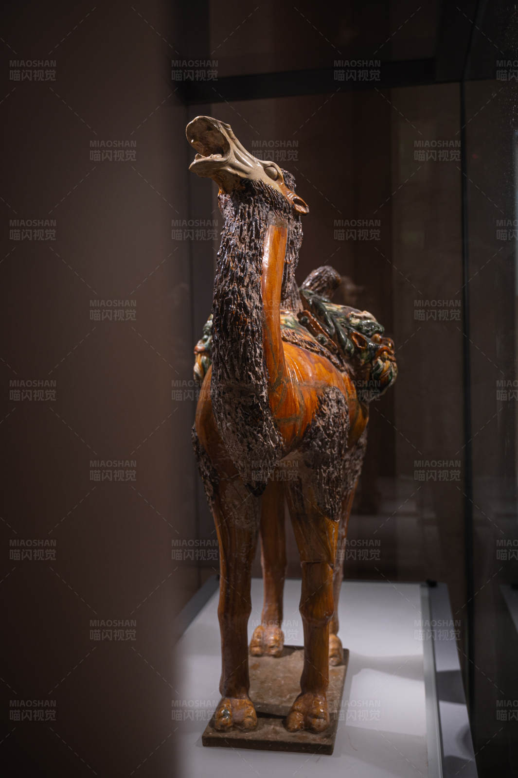 古代陶制骆驼雕塑图片