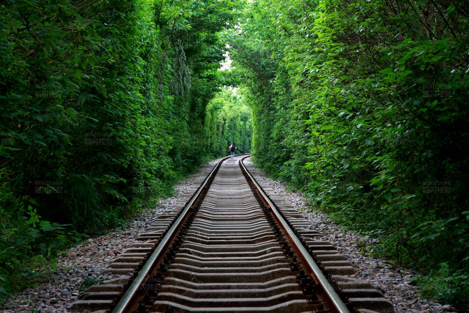 南京江宁爱情隧道图片