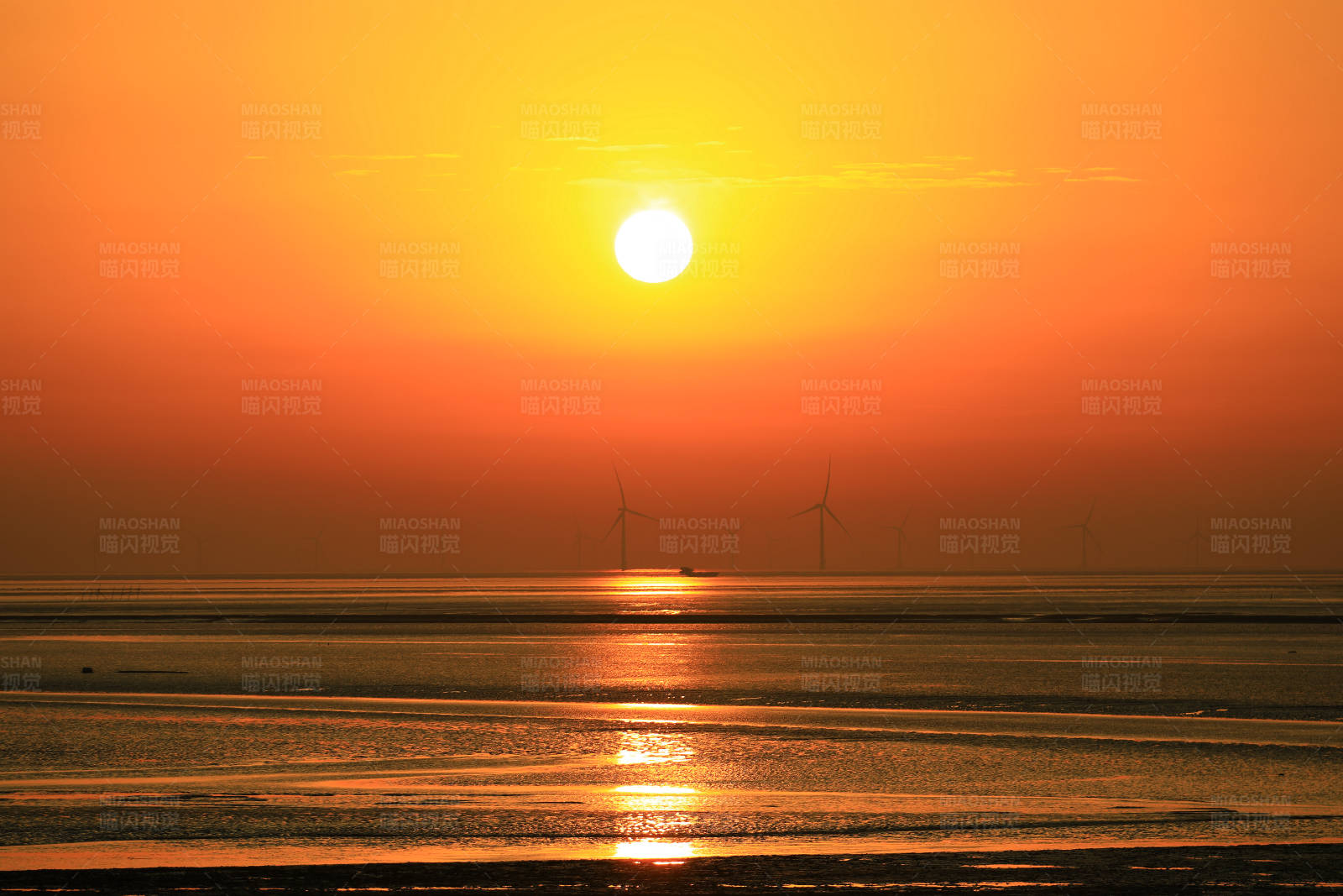 东台条子泥海上日出风光图片