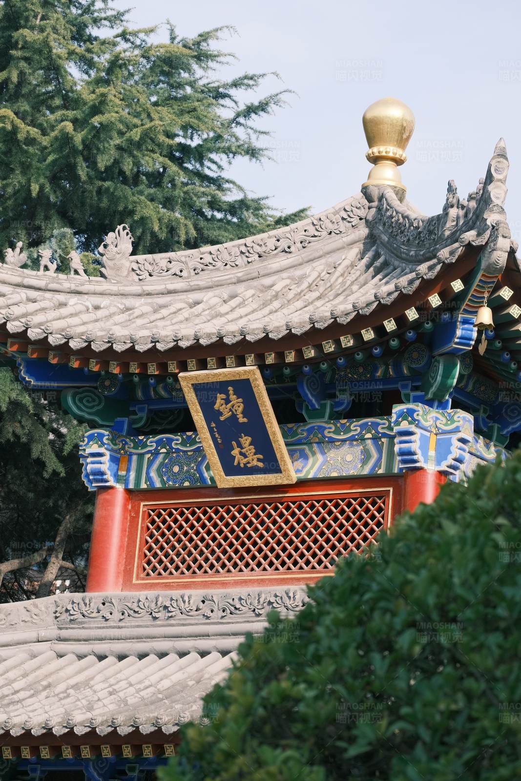 古建筑与绿树图片