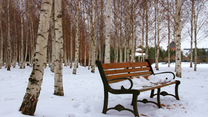 冬日雪地长椅图片
