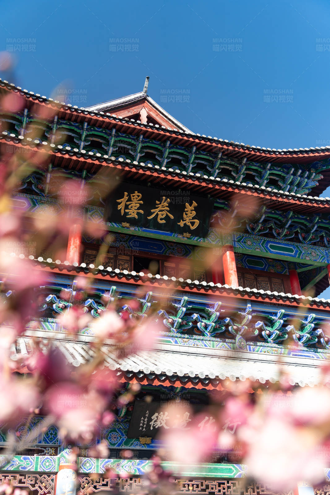 春日的云南丽江木府古建筑花景图片