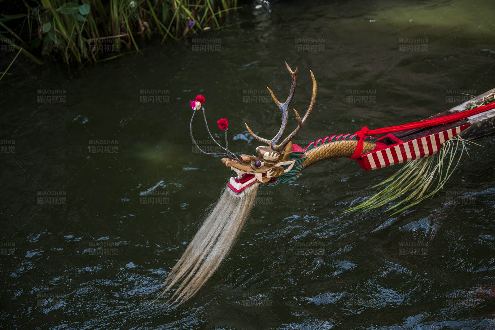 龙舟竞渡 水上狂欢图片