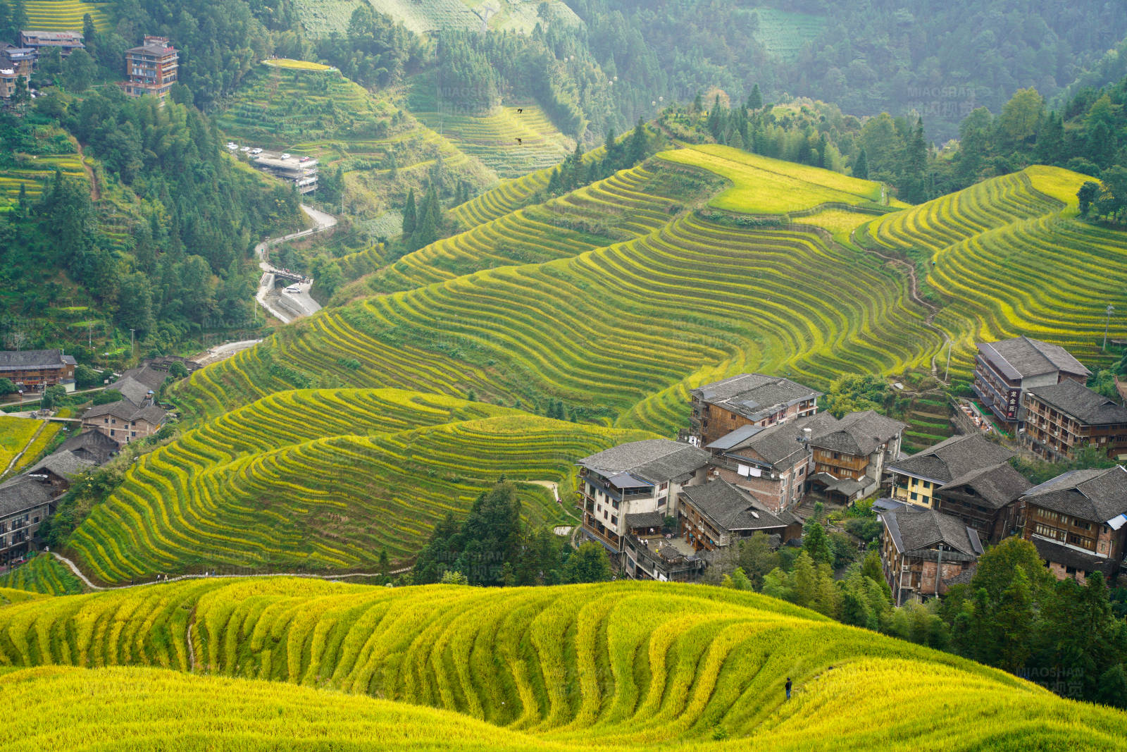 梯田美景图片