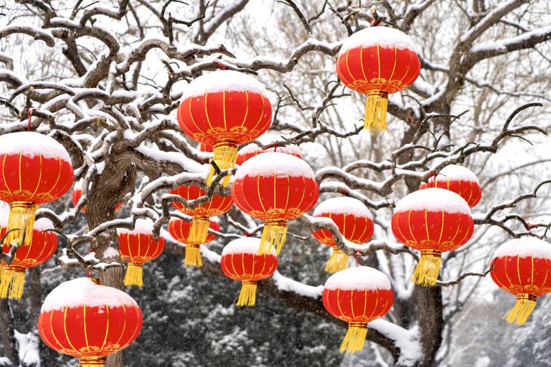 雪中红灯笼图片