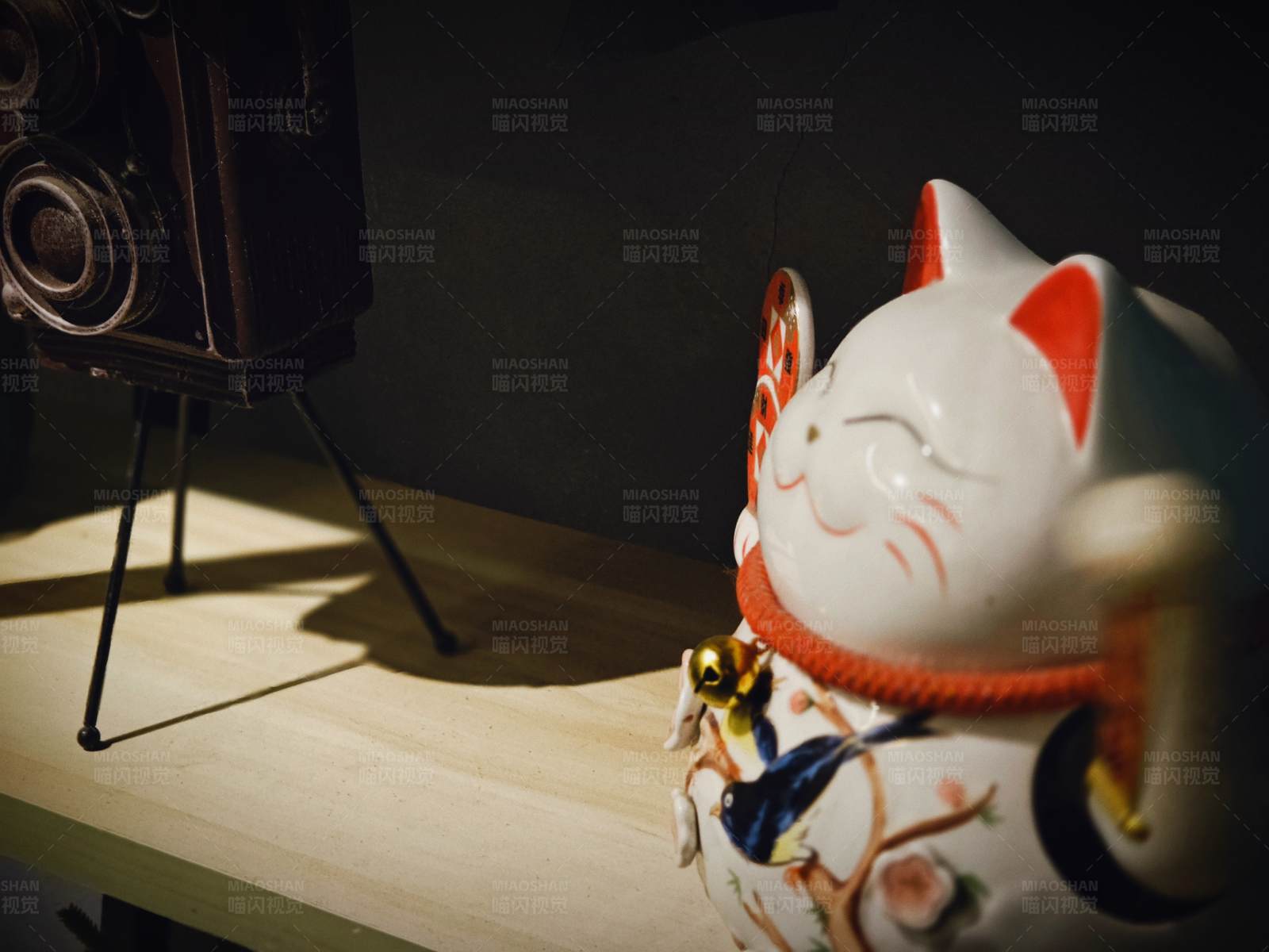 招财猫与老相机图片
