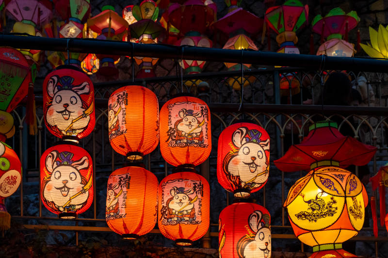 兔年灯笼庆佳节图片
