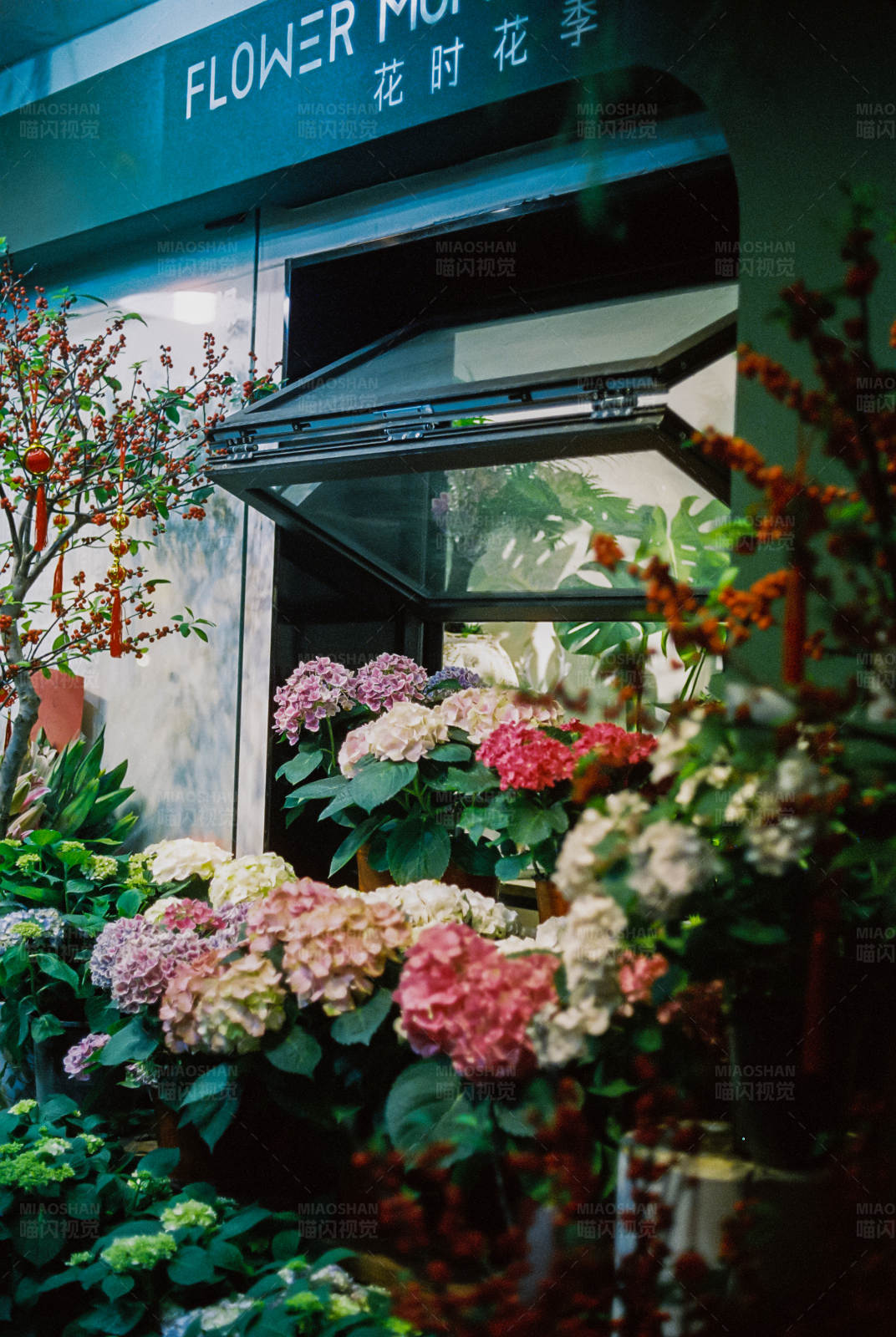 花店门口的美丽花束图片