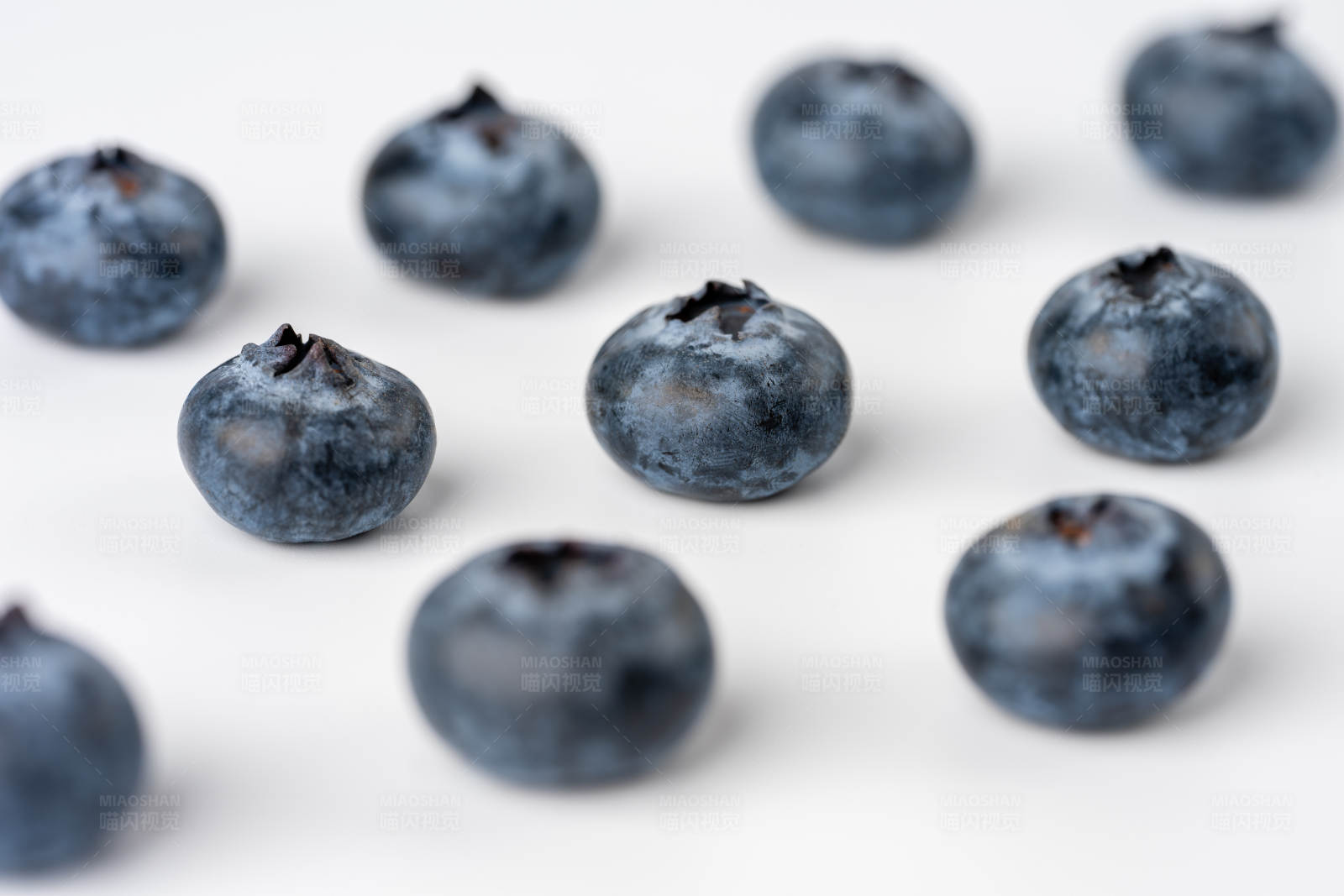 蓝莓散落在白色背景上图片