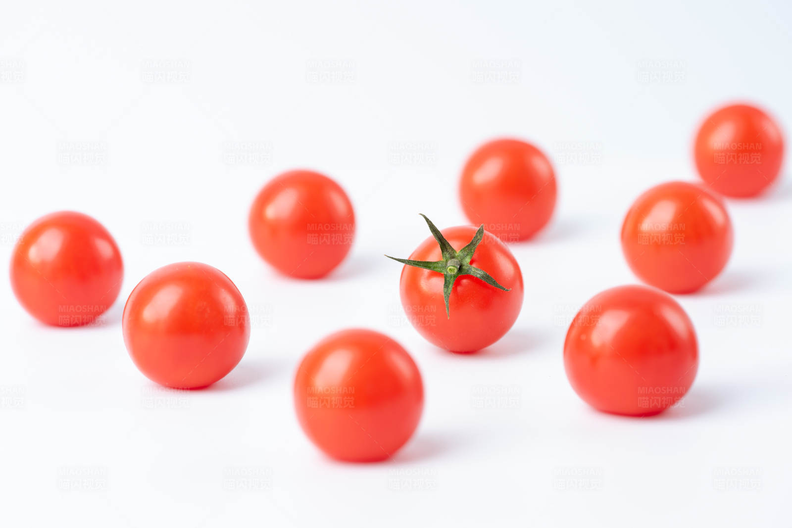樱桃番茄与一个带茎的图片