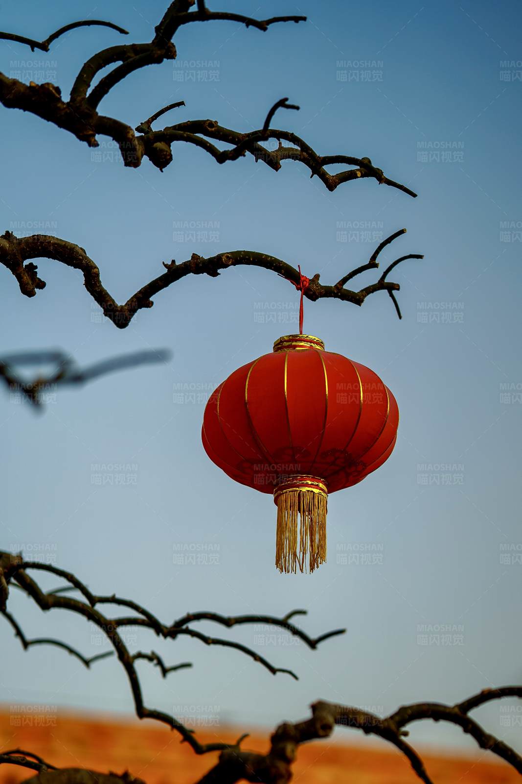 红灯笼挂枝头图片