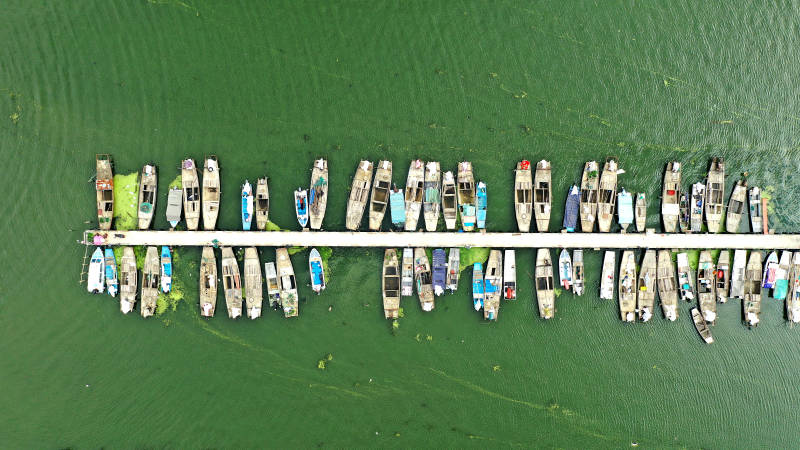 阳澄湖大闸蟹养殖基地码头停泊的船只图片