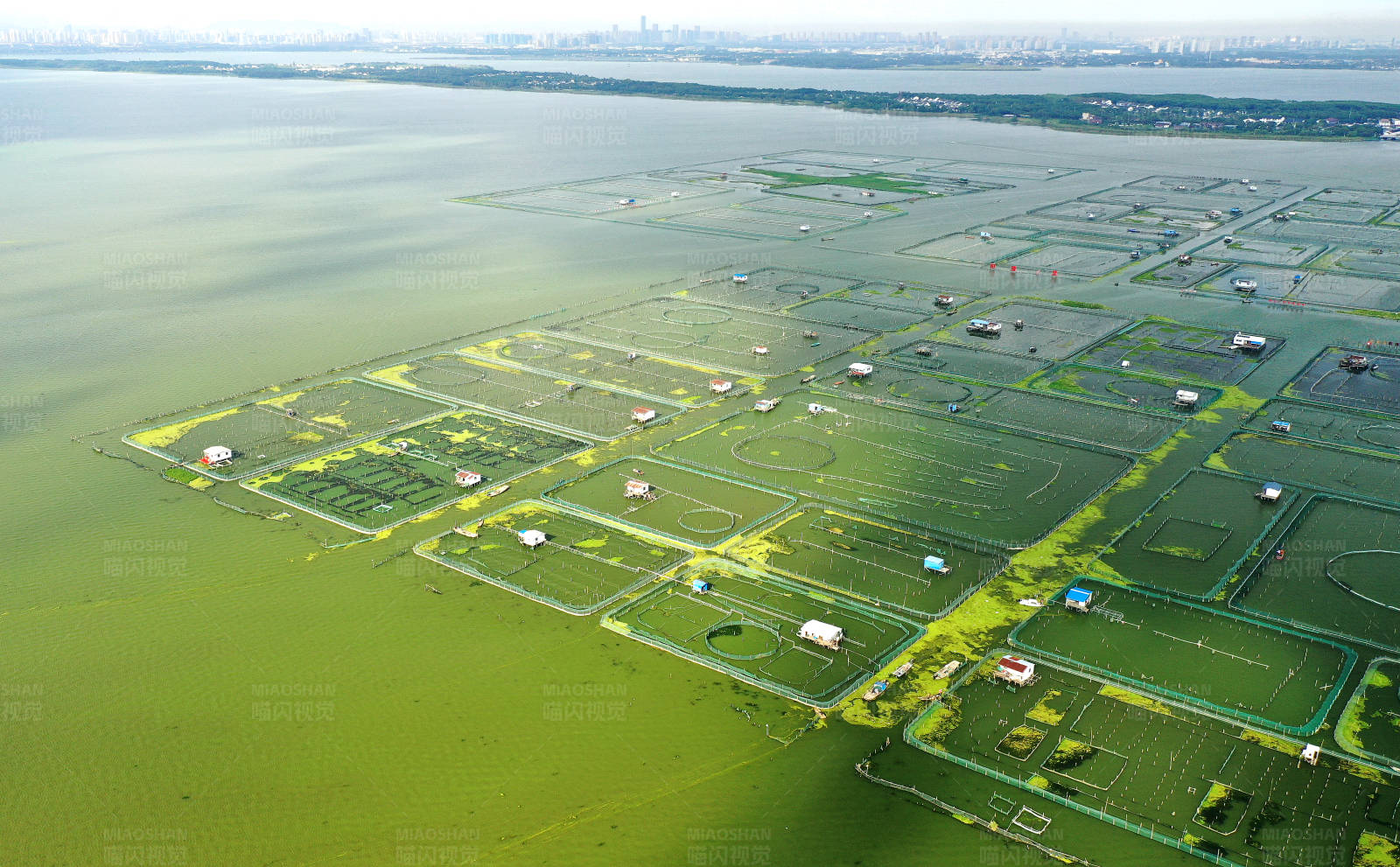 航拍苏州阳澄湖大闸蟹养殖基地图片