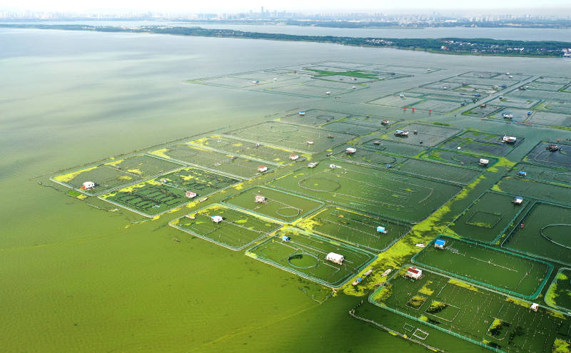 航拍苏州阳澄湖大闸蟹养殖基地图片