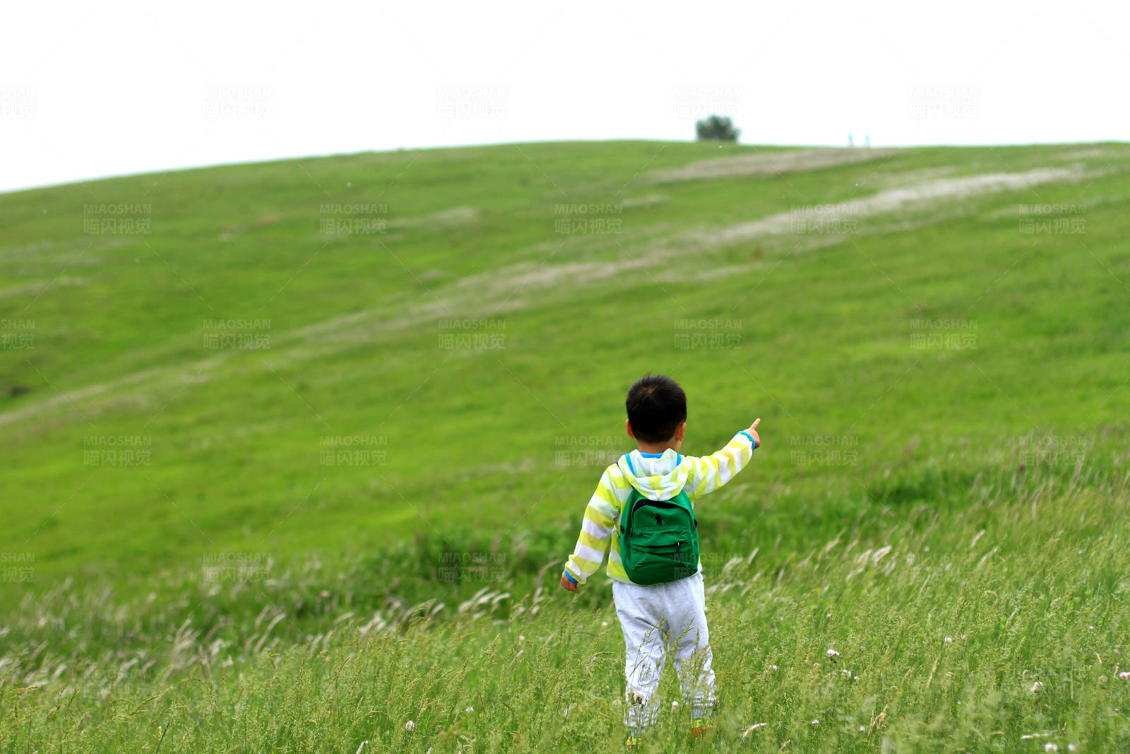小男孩背书包在草地上图片