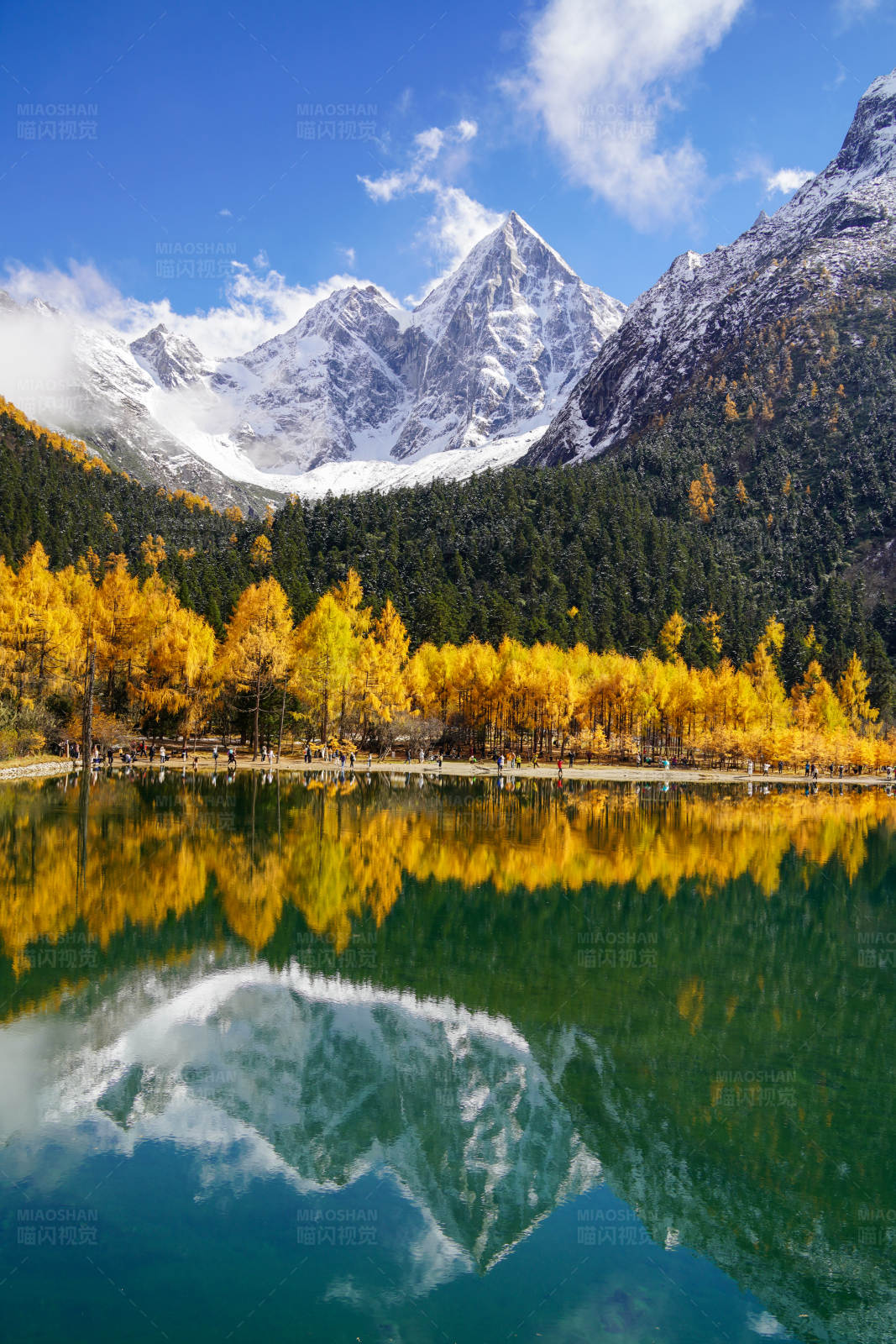 雪山秋色映湖中图片