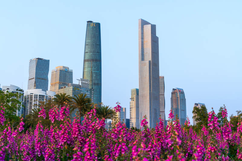 广州珠江新城摩天大楼与春天花海图片