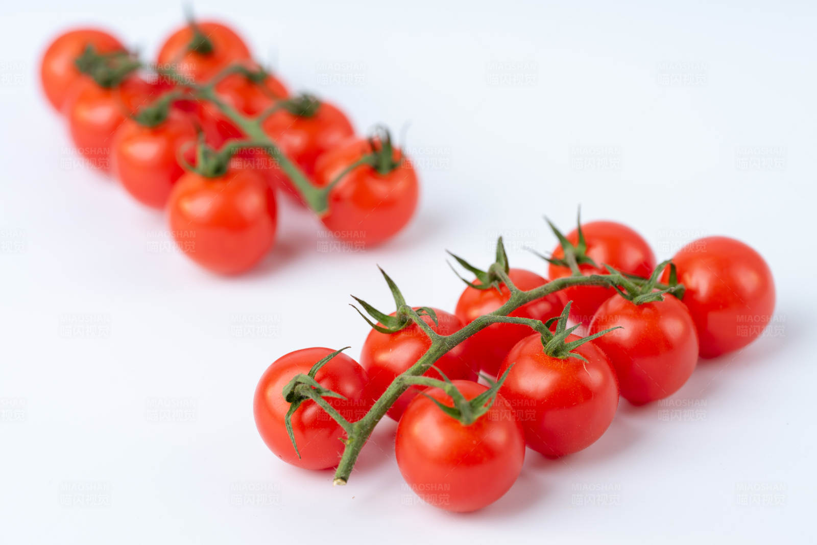 樱桃番茄枝图片
