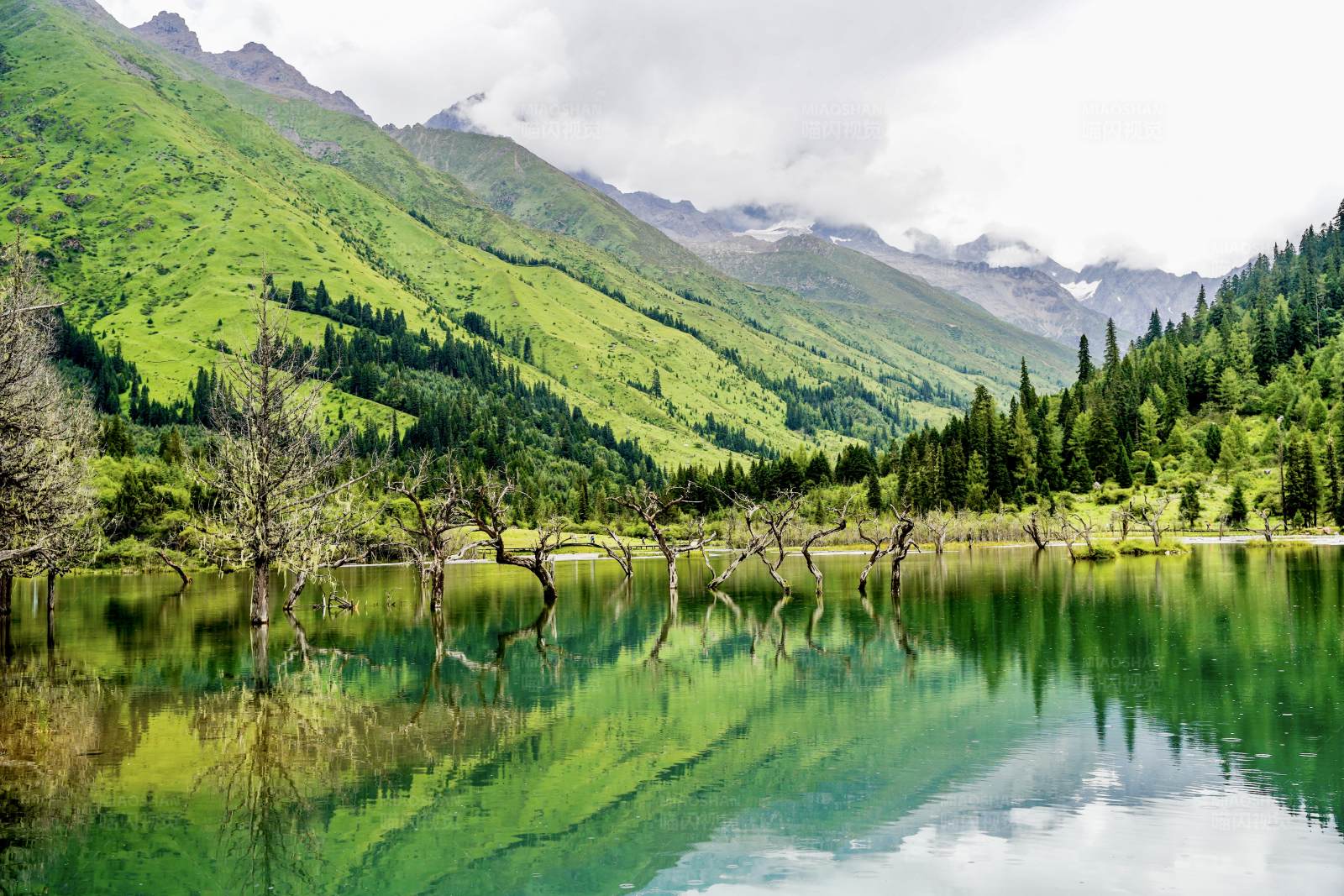四姑娘山双桥沟景区镜湖映山色图片