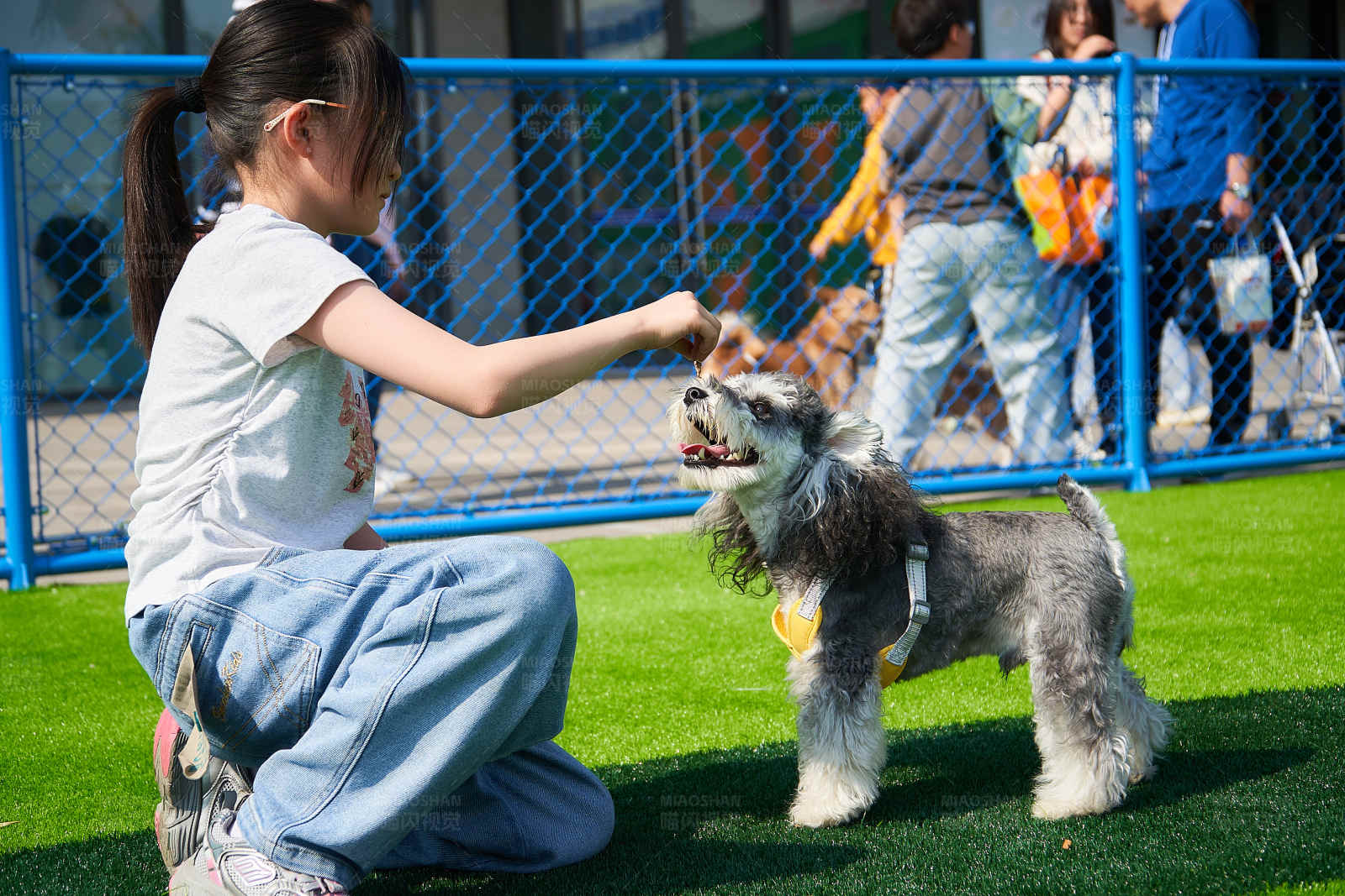 小女孩与小狗玩耍图片