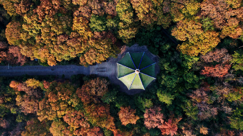 俯瞰南京灵谷塔图片