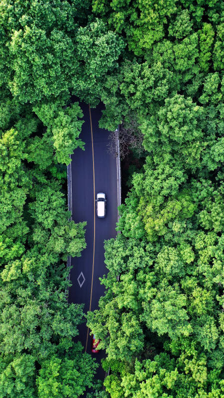 航拍森林中的一辆白色汽车的孤独旅程图片