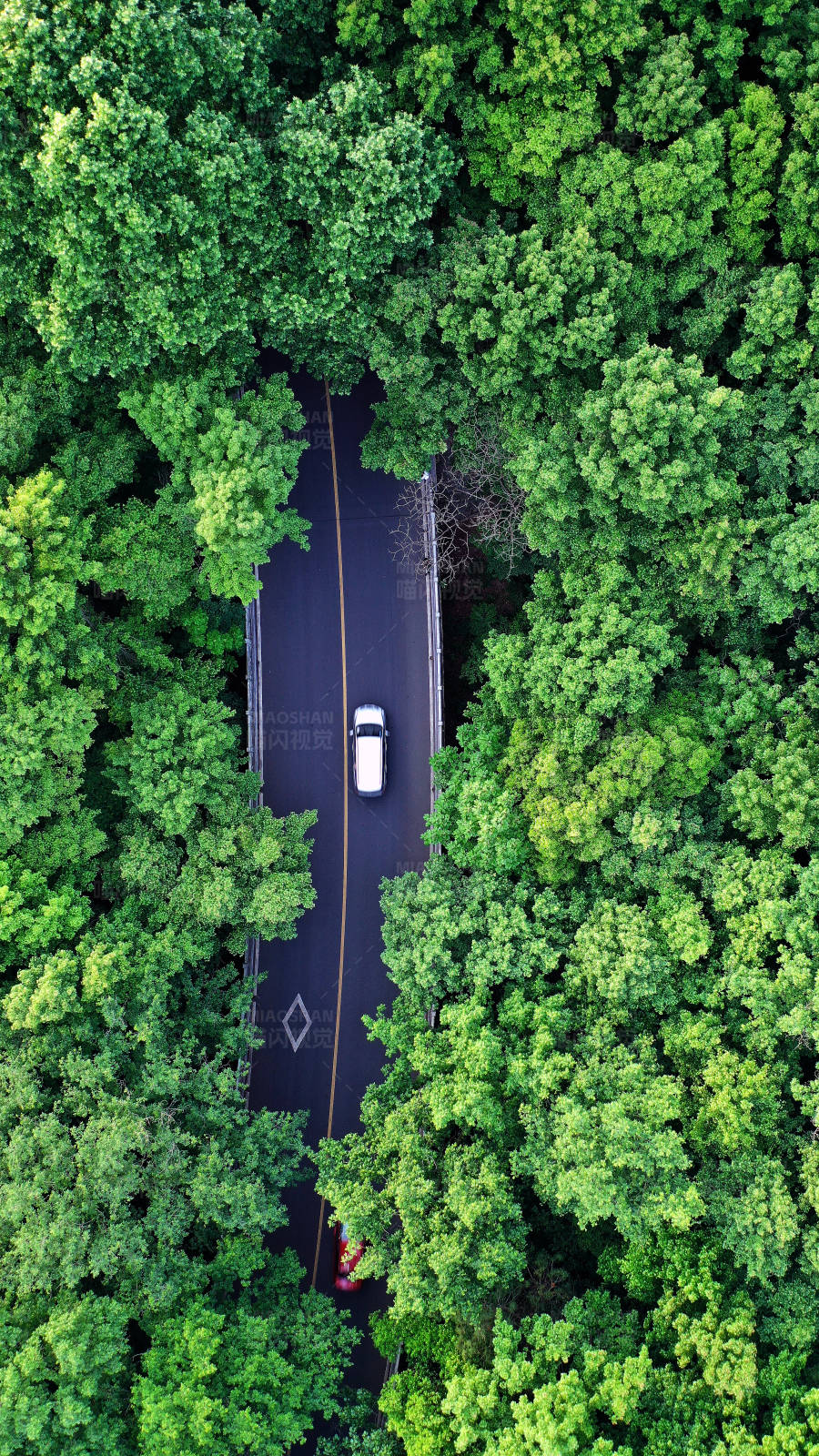 航拍森林中的一辆白色汽车的孤独旅程图片