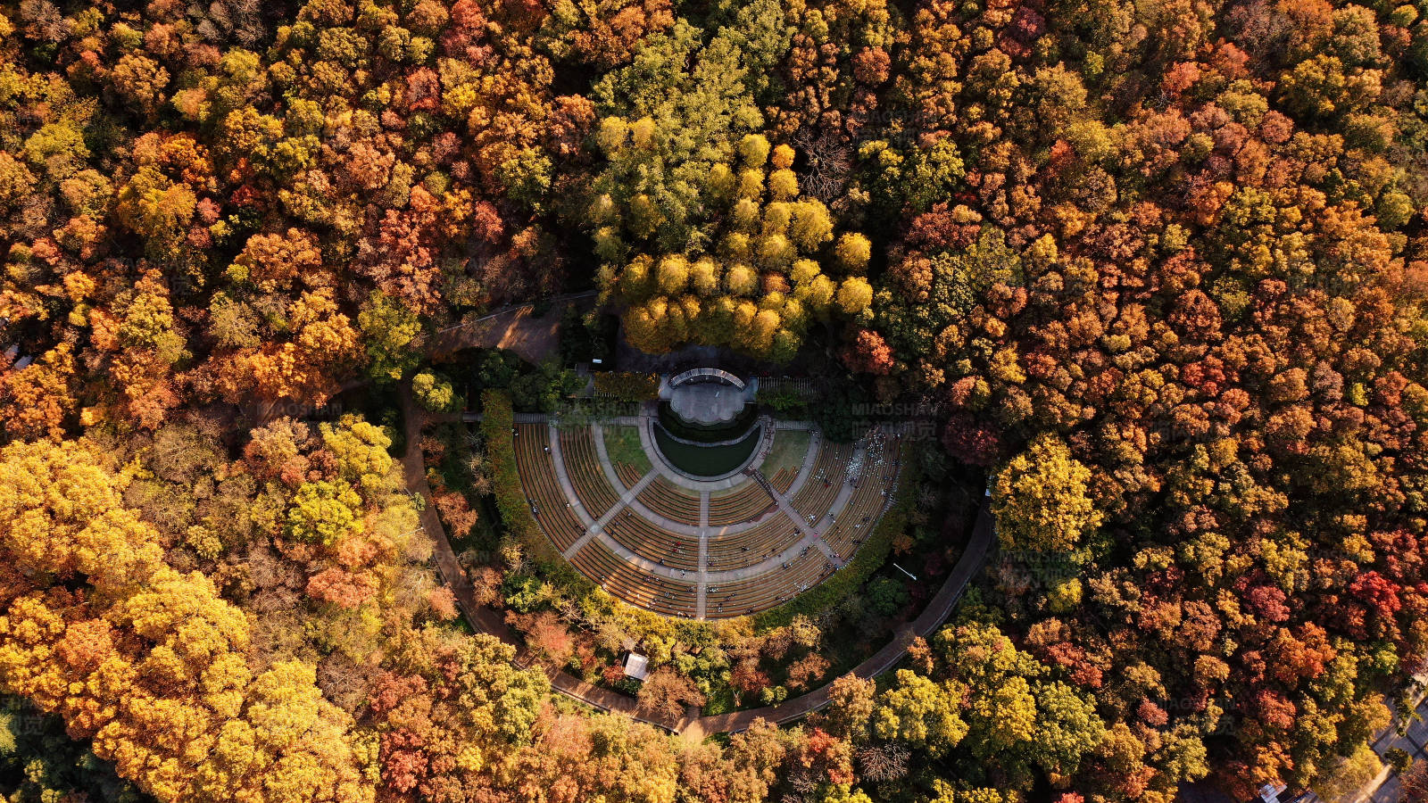 南京音乐台航拍图片