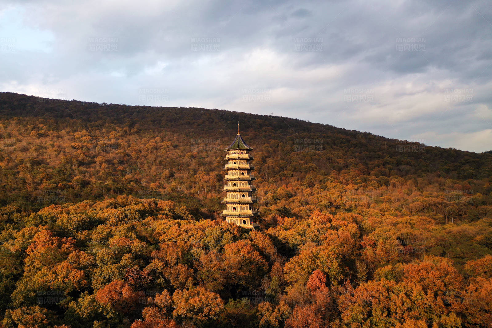 航拍南京秋日紫金山灵谷塔图片