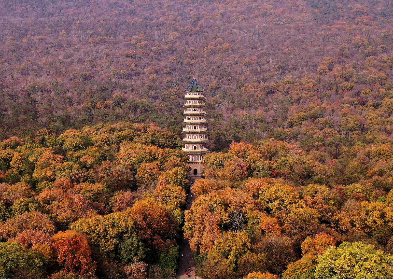 航拍深秋时节的南京灵谷塔图片