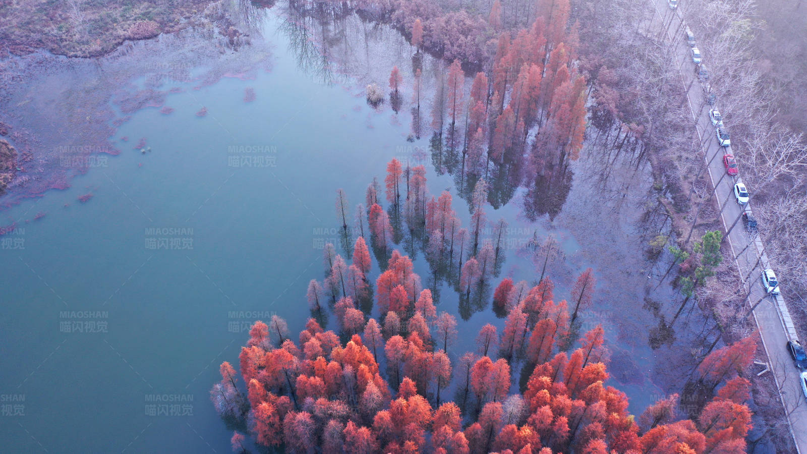 航拍南京六合竹镇止马岭水上杉林图片