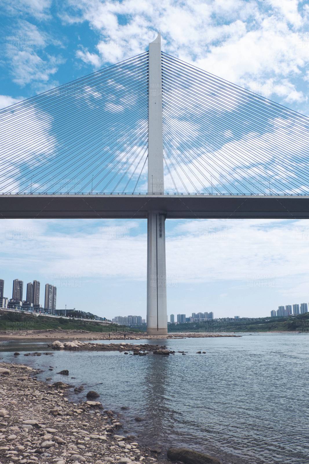 现代桥梁与城市天际线图片