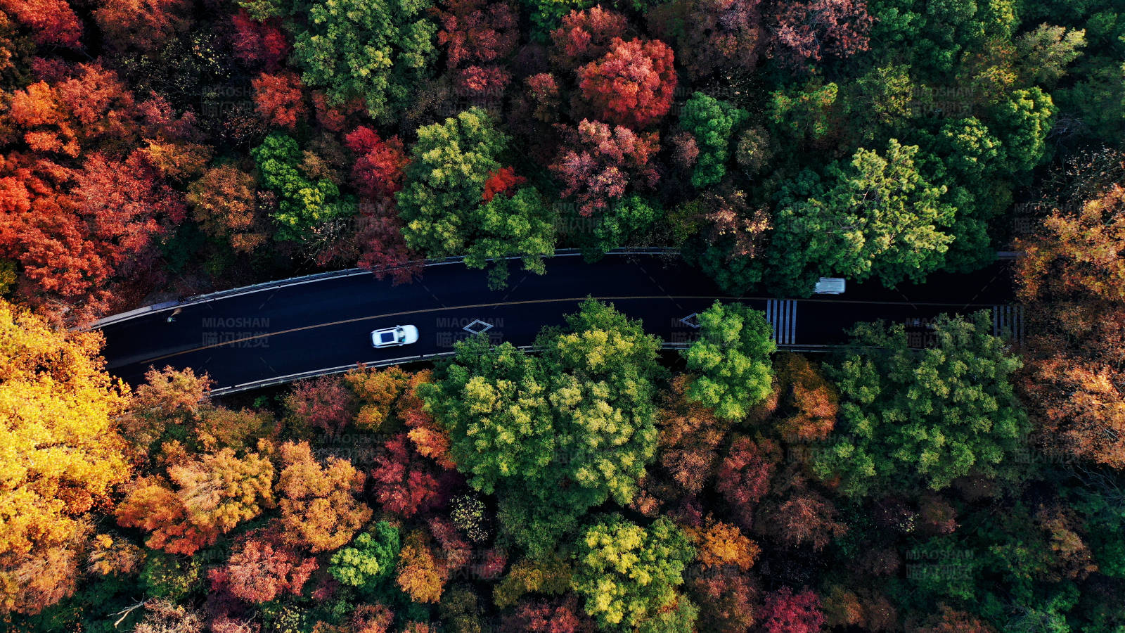 航拍秋日南京紫金山森林中的蜿蜒公路图片